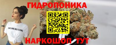 скорость Будённовск