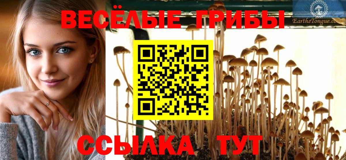 Галлюциногенные грибы MAGIC MUSHROOMS  Вход с VPN  Советская Гавань 